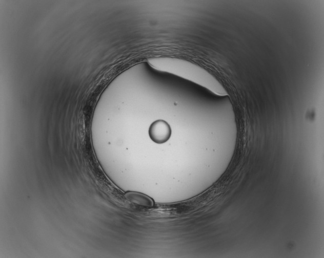 X0000116050320200912111510