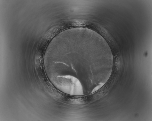 X0000116050322200912111510