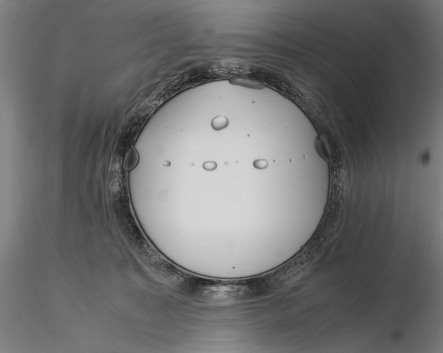X0000116050323200912111510