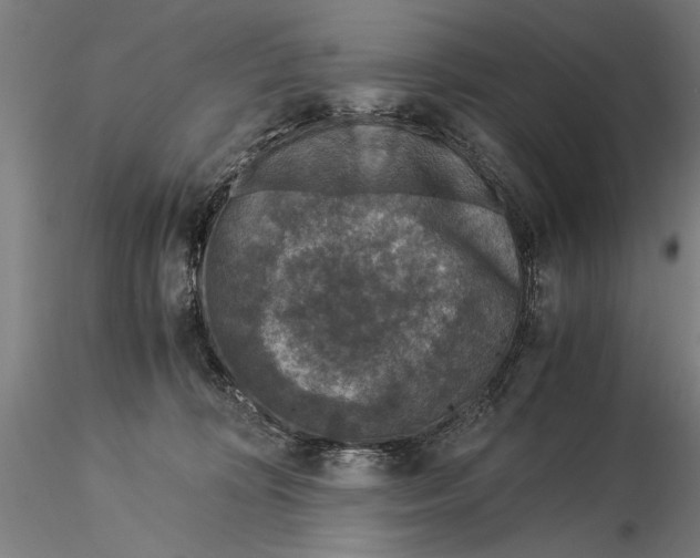 X0000116050324200912111510