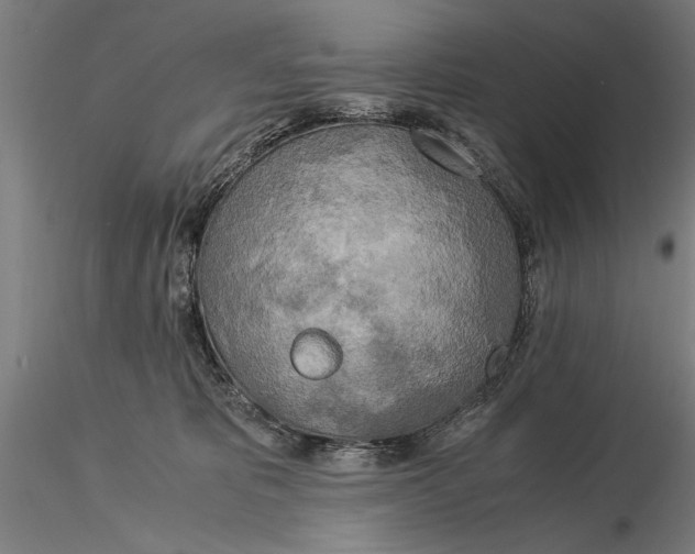 X0000116050325200912111510