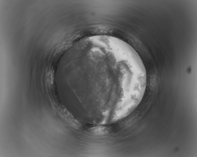 X0000116050326200912111510