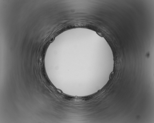 X0000116050327200912111510