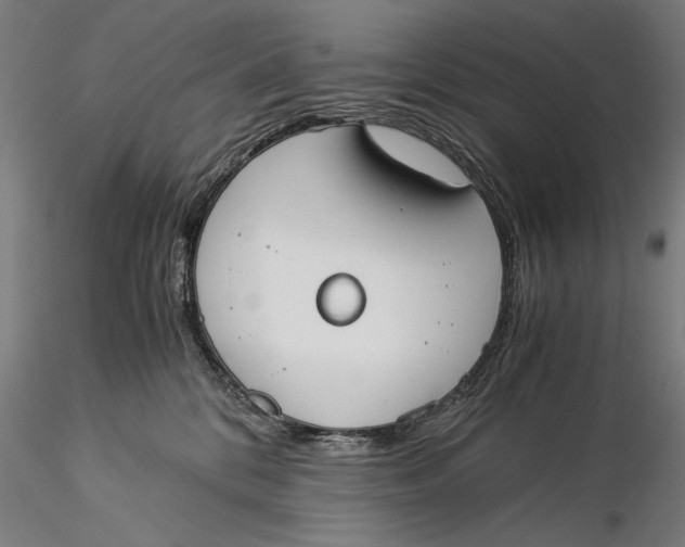 X0000116050328200912111510