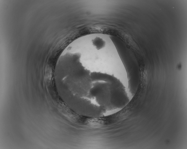 X0000116050331200912111510