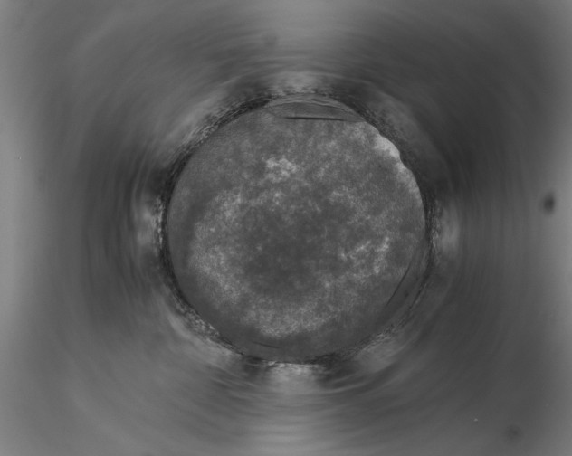 X0000116050332200912111510