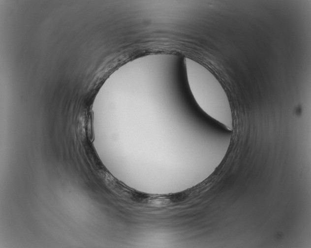 X0000116050333200912111510