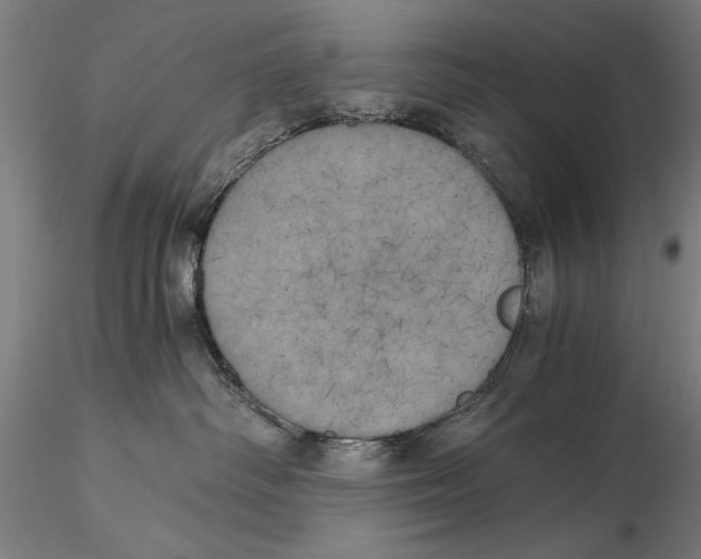 X0000116050334200912111510