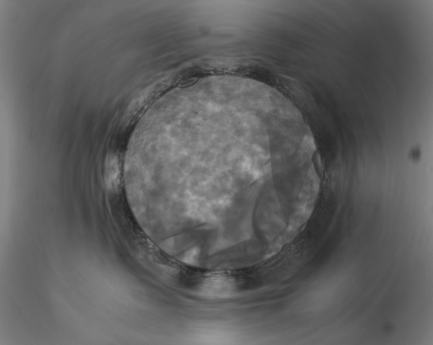 X0000116050335200912111510