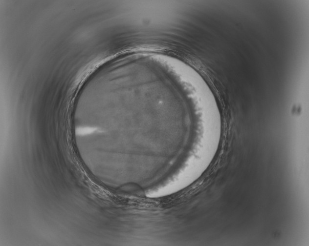 X0000116050337200912111509