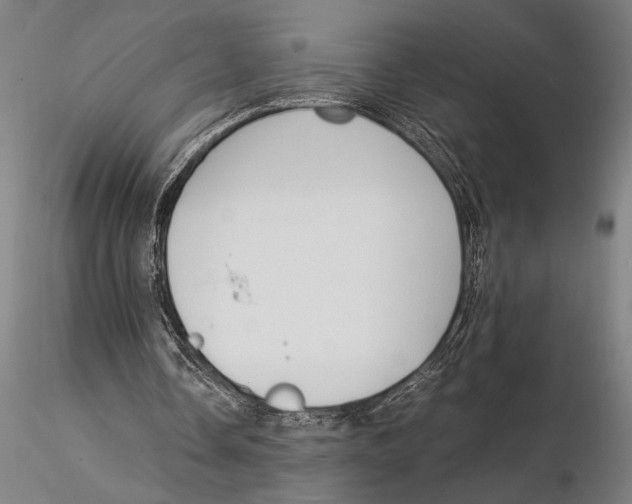X0000116050338200912111509