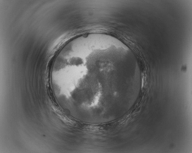 X0000116050339200912111509