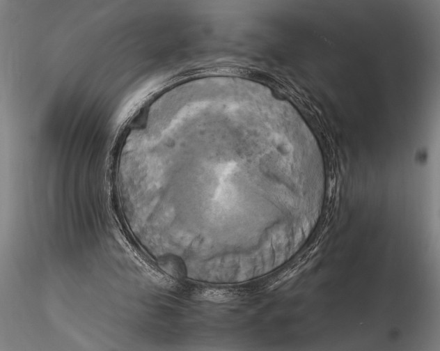 X0000116050341200912111509