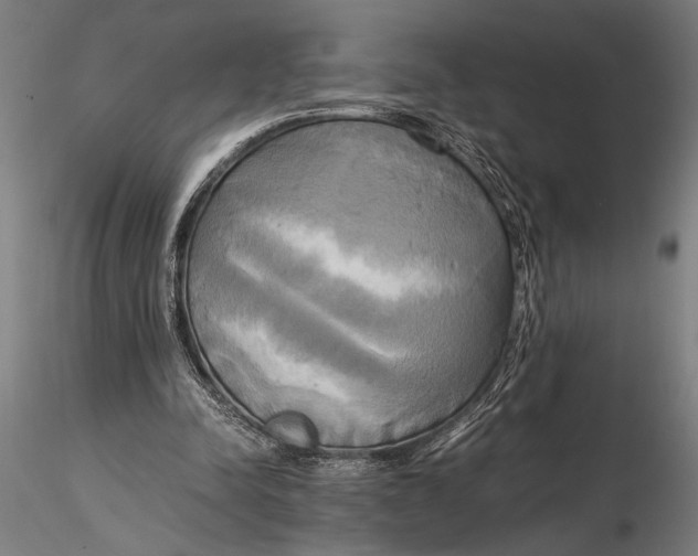 X0000116050342200912111509