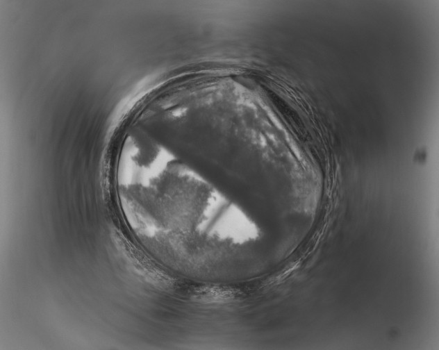 X0000116050343200912111509