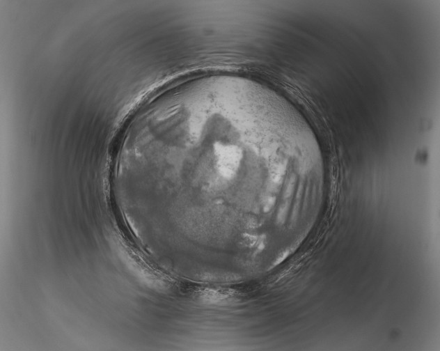 X0000116050346200912111509