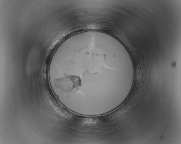 X0000116050347200912111509