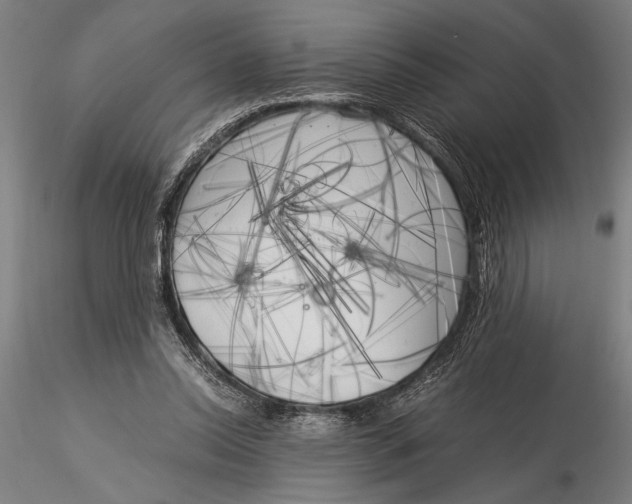 X0000116050350200912111509