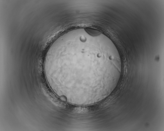 X0000116050354200912111509