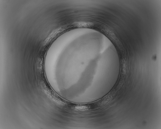 X0000116050357200912111509