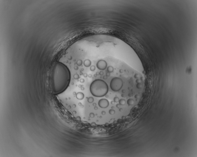 X0000116050359200912111509