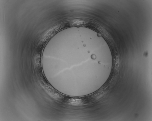X0000116050361200912111509
