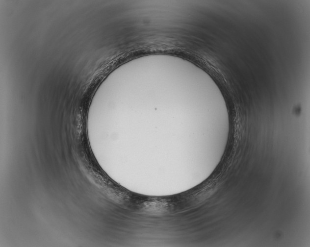 X0000116050362200912111509