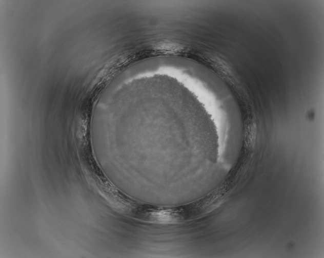 X0000116050365200912111510