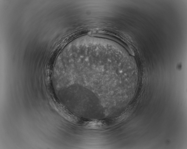 X0000116050366200912111510