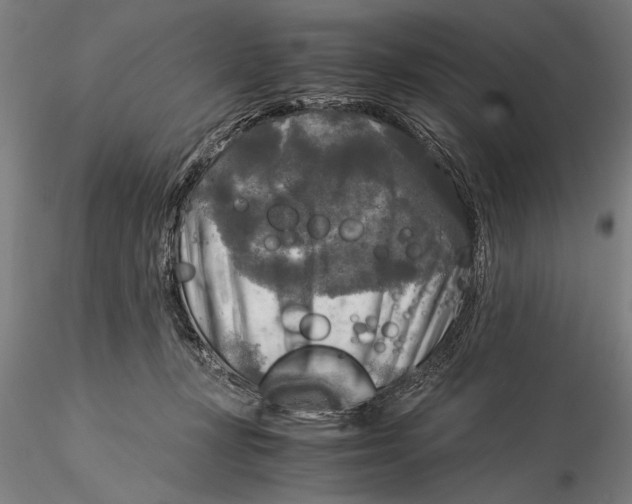 X0000116050367200912111510