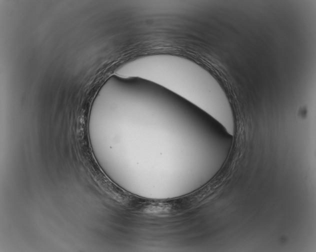 X0000116050369200912111510