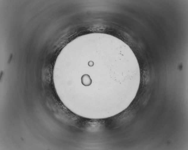 X0000116050370200912111510