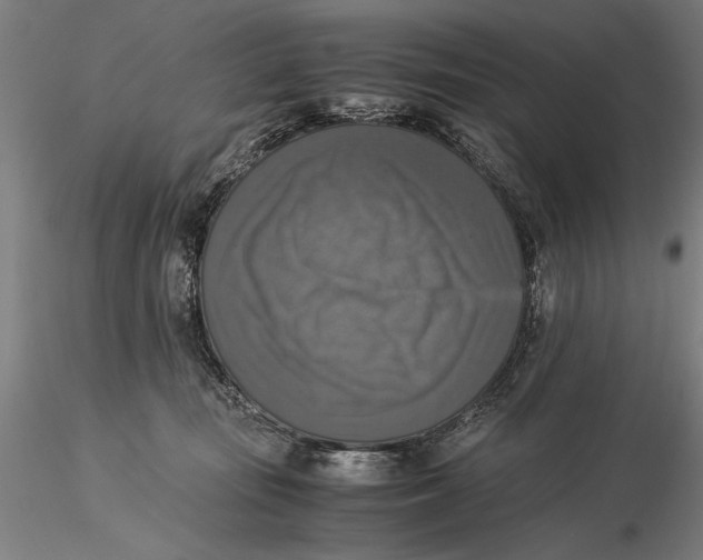 X0000116050371200912111510