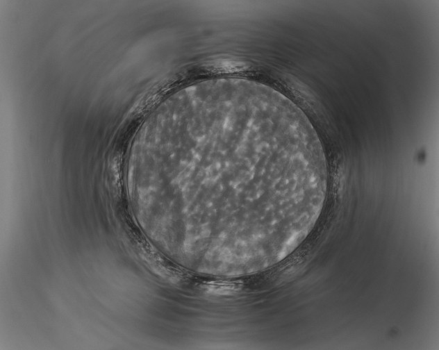 X0000116050373200912111510