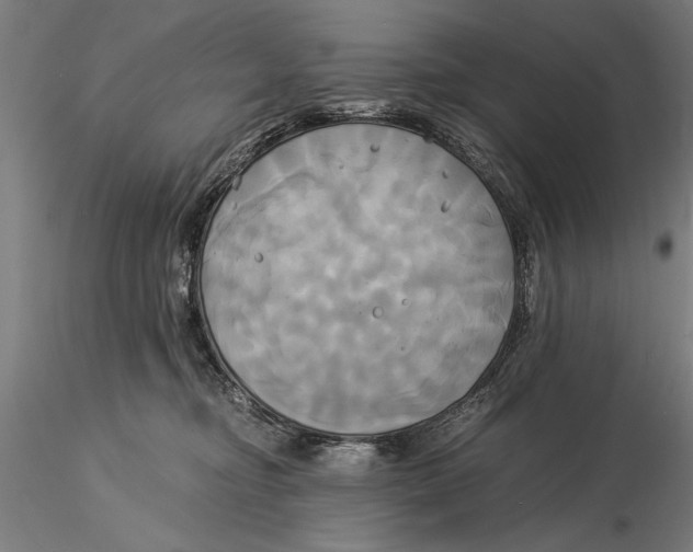 X0000116050374200912111510