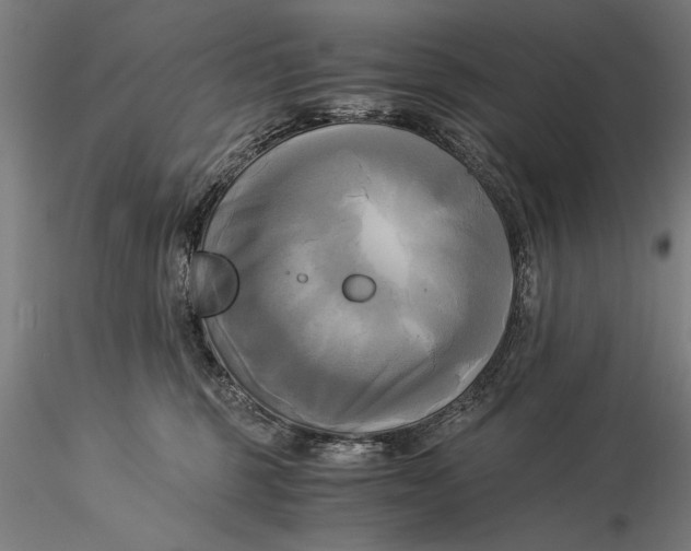 X0000116050375200912111510