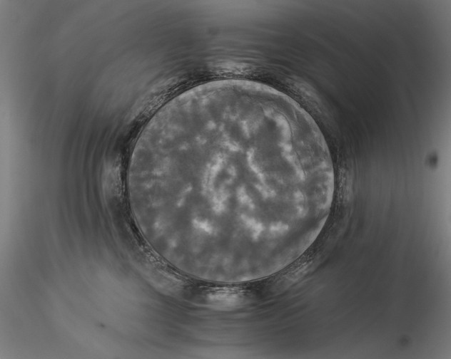 X0000116050377200912111510