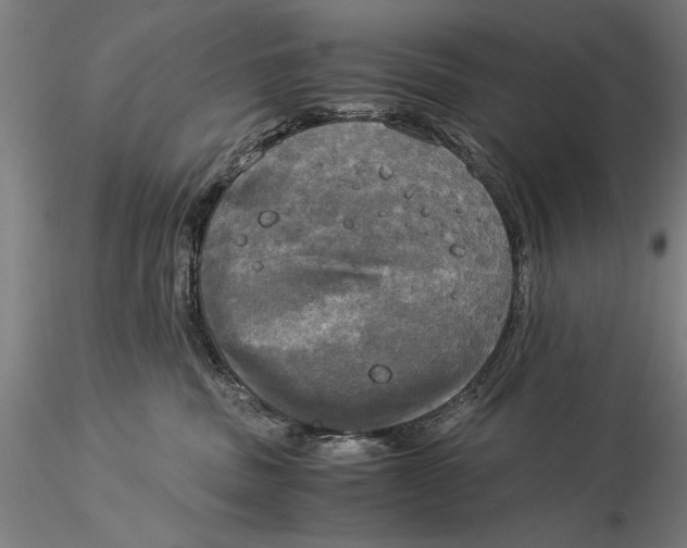 X0000116050379200912111510