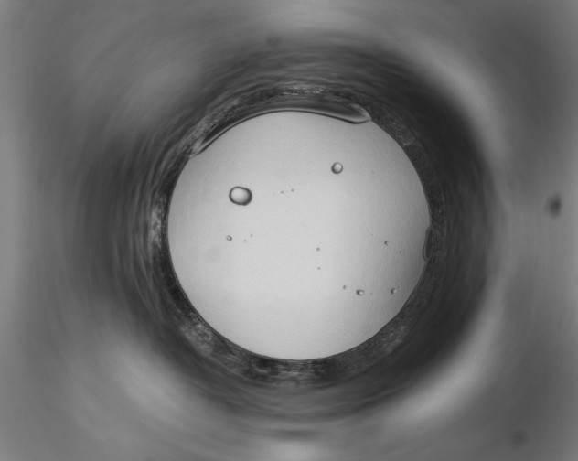 X0000116050382200912111510