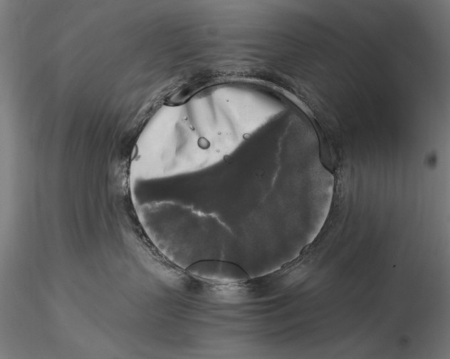 X0000116050383200912111510