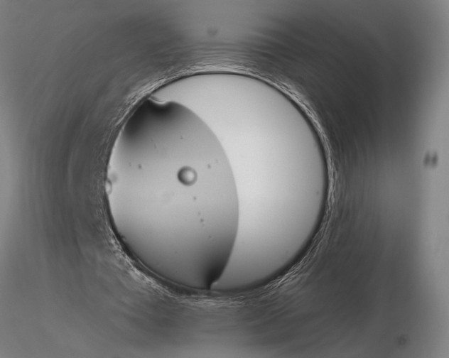 X0000116050385200912111509