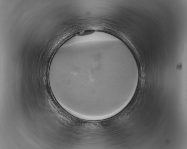X0000116050386200912111509