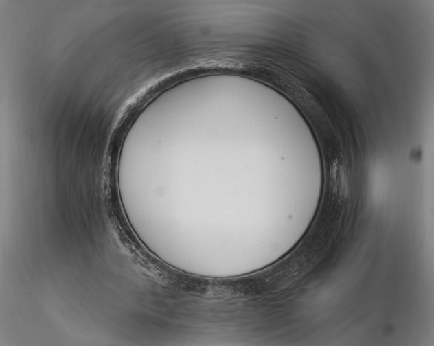 X0000116050388200912111509