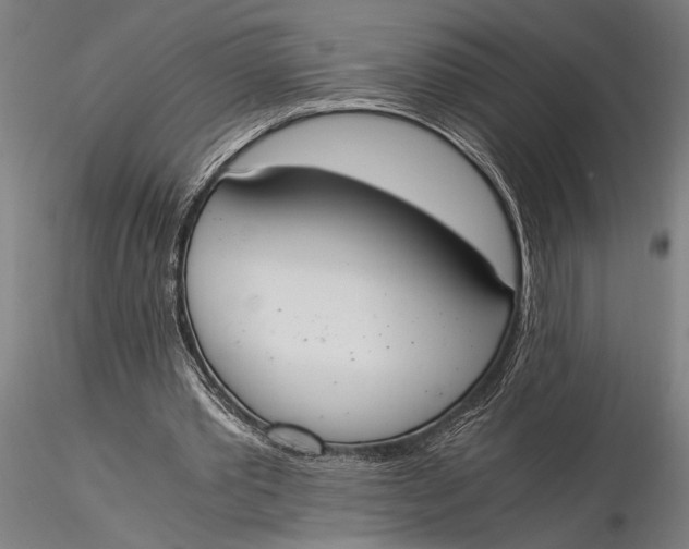 X0000116050389200912111509