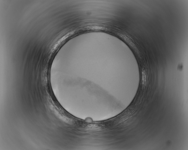 X0000116050390200912111509