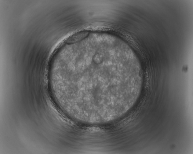 X0000116050392200912111509
