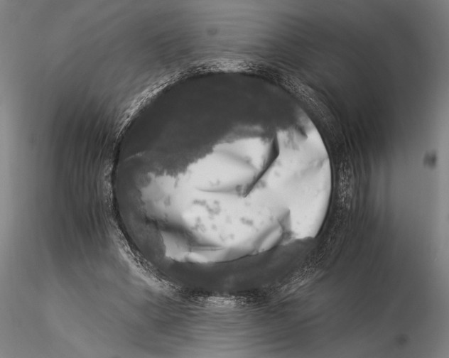 X0000116050394200912111509