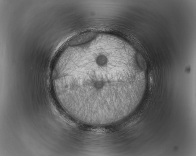 X0000116050396200912111509