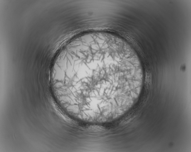 X0000116050397200912111509