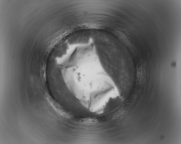 X0000116050398200912111509
